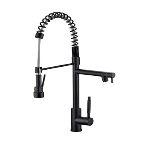 Professional Kitchen Mixer With Pull Out Spray & Swivel