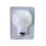 Led Light Globe Pack Size: 12 50/tot-0173