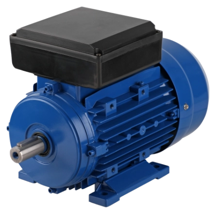 (0.18KW) Electric Motor ML631-2