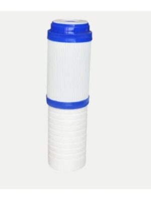 10’ Std Combo Filter