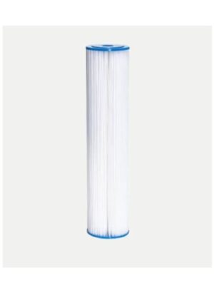 20 Big Blue Pleated Filter