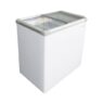 205l Glass Top Freezer Commercial Cf310vl