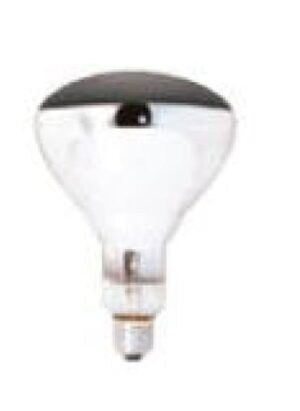 250w Globe Screw In Xpmk4025