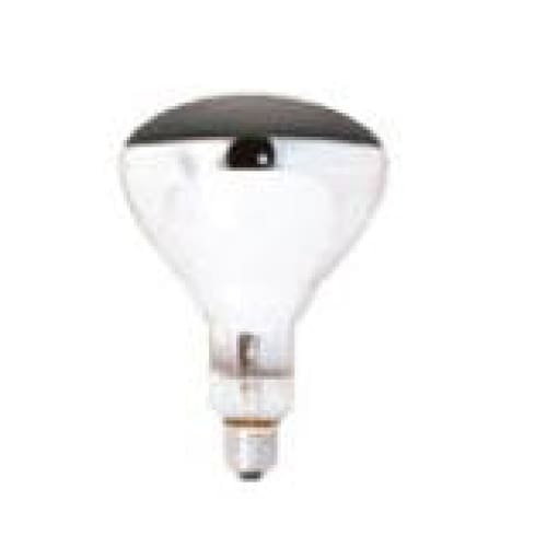 250w Globe Screw In Xpmk4025