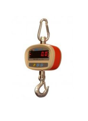 300kg Shs Crane Scales 300