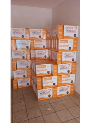 Gel Battery 12v 100 Ah Hoselect Ghl12