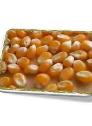 Butterfly Popcorn Kernels 25kg