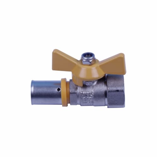 ½ Female Ball Valve 33/pbv1216-1/2f