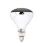 Global 100w Screw In Globe Xpmk3008