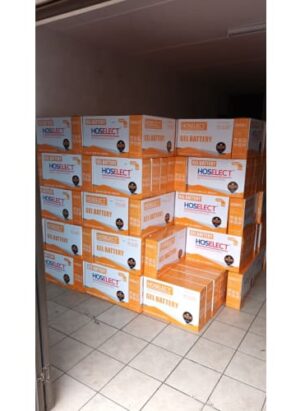 Hoselect Gel Batterie12 Volt 200 Amp Hour