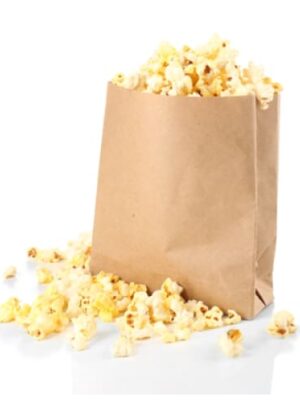 Popcorn Brown Bags No4