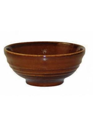 Bit On The Side - Cinnamon Snack Bowl 10.4cm (12)