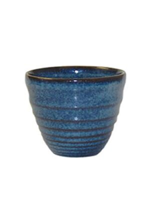 Bit On The Side - Sapphire Chip Mug 9.5cm (12)