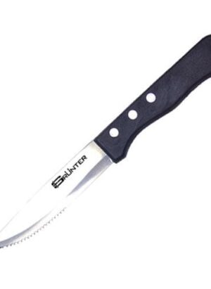 Steak Knife Broad Blade Plastic Handle Kns5125