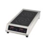 Induction Cooker Double
