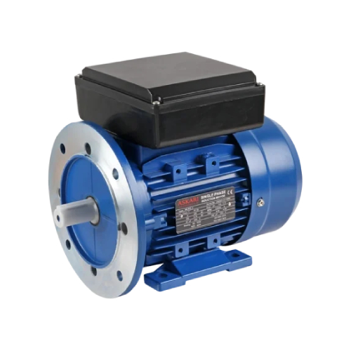 Flange Mount Motors