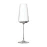 Muse - Champagne - 295 ml (24) - 1LS21CP10