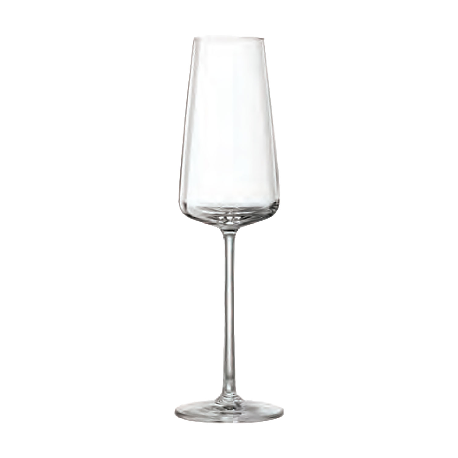 Muse - Champagne - 295 ml (24) - 1LS21CP10